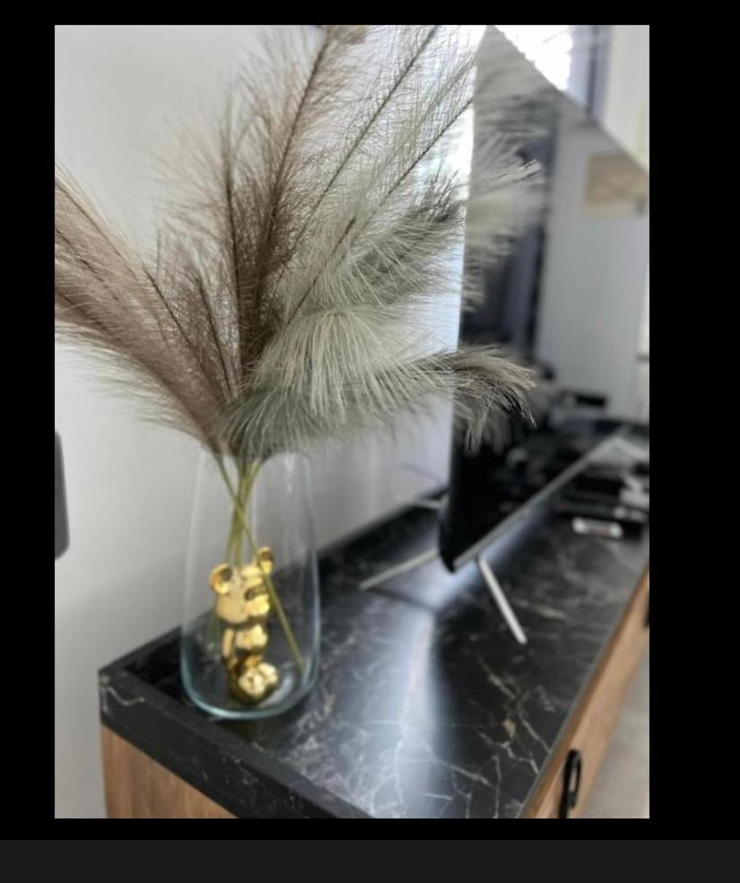Palmiye Apartment キレニア エクステリア 写真